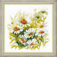 Набор для вышивания РИОЛИС арт.1765 Крупные ромашки 30х30 см