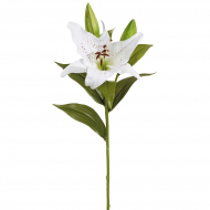 189013_Цветок декоративный "Лилия"