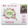 Картина по номерам с цветной схемой на холсте Molly арт.KK0605 Серый котенок (18 цветов) 30х40 см