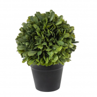 195240_Цветок декоративный "Самшит"