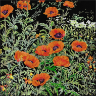 38240_Набор для вышивания "Поле с маками", канва аида (черная) 18 ct