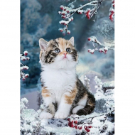 166095_Картина стразами "Пушистое счастье"