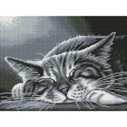 Набор Белоснежка для изготовления картин со стразами на подрамнике арт.БЛ.903-GT-S Мягкий свет 30х40см