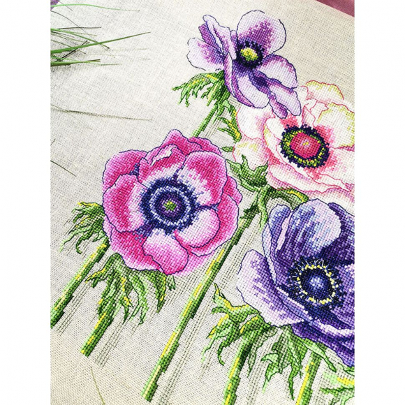 Набор для вышивания "Цветы Анемоны" Набор для вышивания "Цветы Анемоны"