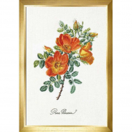 Набор для вышивания THEA GOUVERNEUR арт.2028А Чайная роза 26х38 см Набор для вышивания THEA GOUVERNEUR арт.2028А Чайная роза 26х38 см