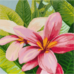 Кристальная мозаика на холсте ФРЕЯ арт.ALVR-239 Цветы франжипани 40х40 см
