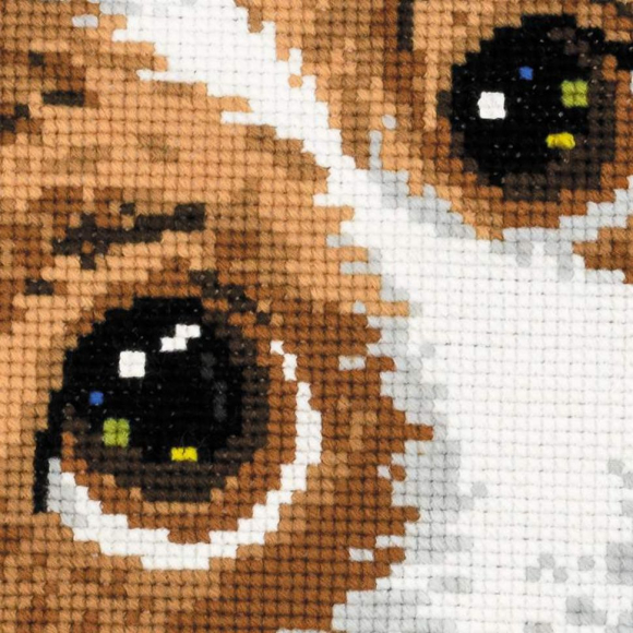 Набор для вышивания РИОЛИС арт.1675 Подушка Щенок 30х30 см