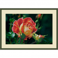 Набор для вышивания бисером «Чайная роза»