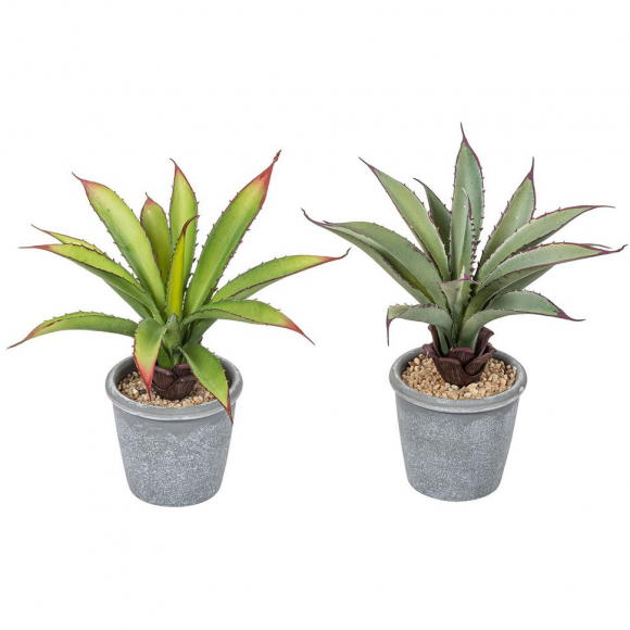 Цветок декоративный в кашпо "Алоэ"