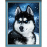 Набор для изготовления картин АЛМАЗНАЯ ЖИВОПИСЬ арт.АЖ.1804 Хаски в снегу 30х40 см