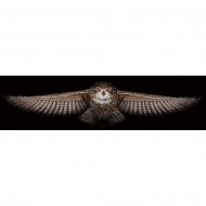 Набор для вышивания СДЕЛАЙ СВОИМИ РУКАМИ арт.С-44 Сова 85х18 см