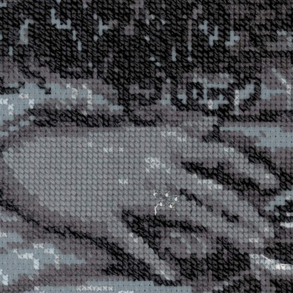 Набор для вышивания РИОЛИС арт.1621 Серебряный сон 60х30 см