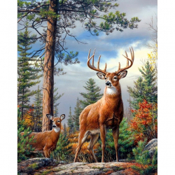 Набор для изготовления картин АЛМАЗНАЯ ЖИВОПИСЬ арт.АЖ.4008 Олени на склоне 30х40 см