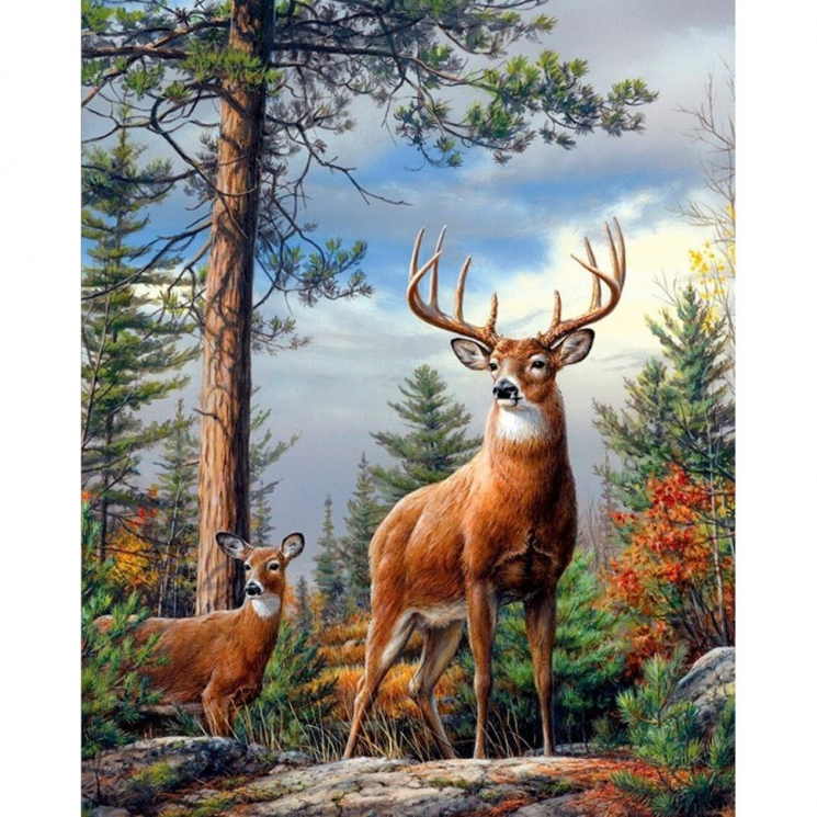 Набор для изготовления картин АЛМАЗНАЯ ЖИВОПИСЬ арт.АЖ.4008 Олени на склоне 30х40 см