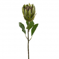 189061_Цветок декоративный "Протея"