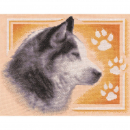Набор для вышивания PANNA арт. J-1050 Сибирский хаски 32х26 см