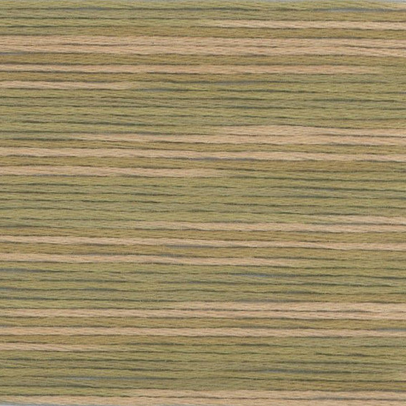 164822_Мулине Cosmo меланж Seasons 5011