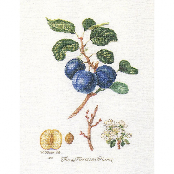 Набор для вышивания THEA GOUVERNEUR арт.2059 Слива 26х35 см