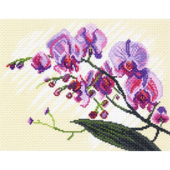 Рисунок на канве МАТРЕНИН ПОСАД арт.28х37 - 1316-1 Орхидеи, композиция