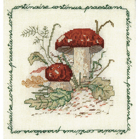 163880_Набор для вышивания:"CORTINAIRE" (Гриб-паутинник) 163880_Набор для вышивания:"CORTINAIRE" (Гриб-паутинник)