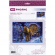 Набор для вышивания РИОЛИС арт.1942 Странствующий чародей 30х21 см