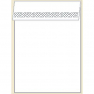 Пакет упаковочный полипропиленовый клеевой клапан (скотч) 25 мкм 25х30+5 уп.1000шт