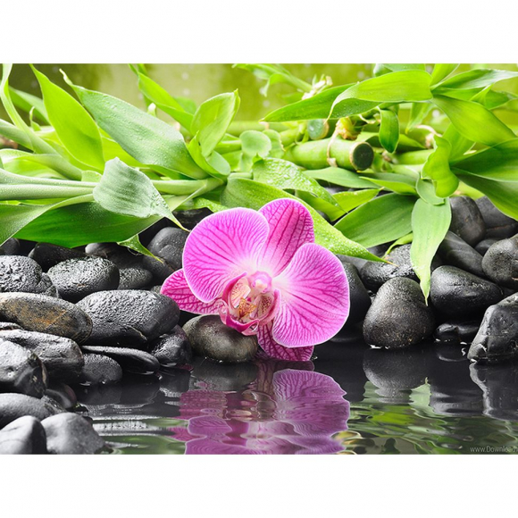 173916_Картина стразами "Орхидея на черных камнях"