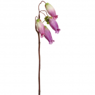 188998_Ветка декоративная "Каланхоэ"