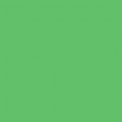 Ткань для пэчворка PEPPY Kona Cotton 122 г/м? 100% хлопок цв.PISTACHIO (фисташковый) уп.50х55 см