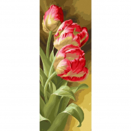 Картина по номерам с цветной схемой на холсте Molly арт.KHS0016 Панно. Красивые тюльпаны (31 цвет) 35х90 см
