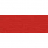 39473_Мулине "Finca"("Финка"),однотонный цвет 1895