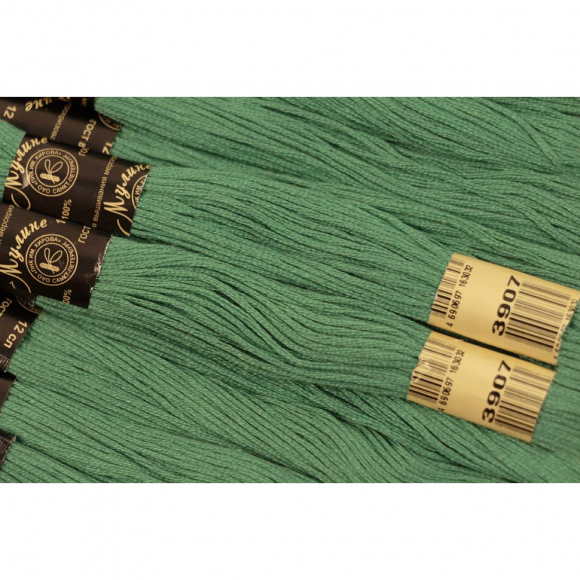 Нитки мулине цв.3907 зеленый 12х10м С-Пб Нитки мулине цв.3907 зеленый 12х10м С-Пб