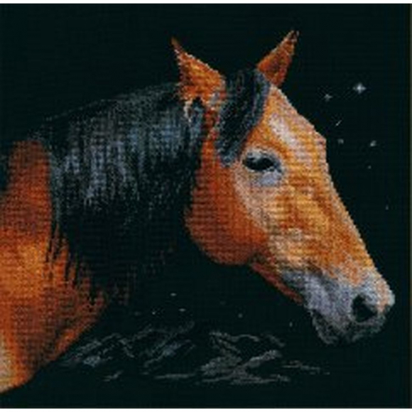 Набор для вышивания АЛИСА арт.1-18 Альтаир 30х30см