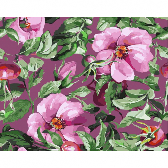 Картины по номерам с холстом на подрамнике ФРЕЯ арт.PNB.C3 №18 Шиповник 40х30 см