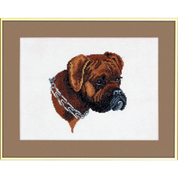 13884_Набор для вышивания "Боксёр"