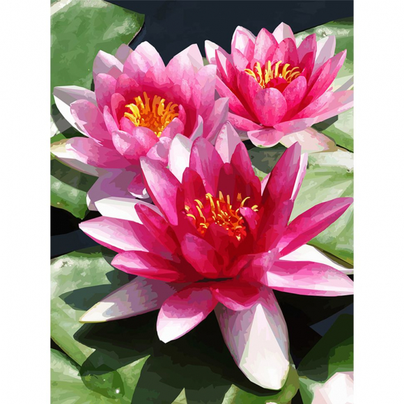 161496_Картина стразами "Водяная лилия" 161496_Картина стразами "Водяная лилия"