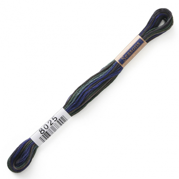 164876_Мулине Cosmo меланж Seasons 8025