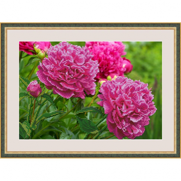 Набор для вышивания бисером GALLA COLLECTION арт.Л 319 Пионы 31х24 см