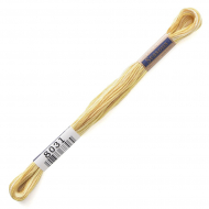 164882_Мулине Cosmo меланж Seasons 8031