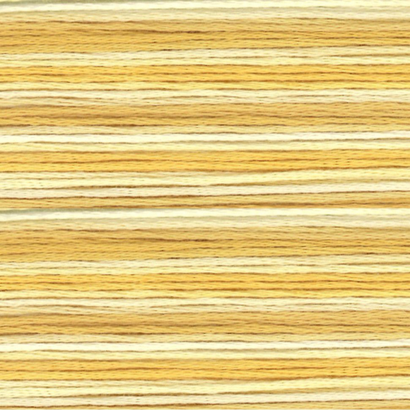 164882_Мулине Cosmo меланж Seasons 8031