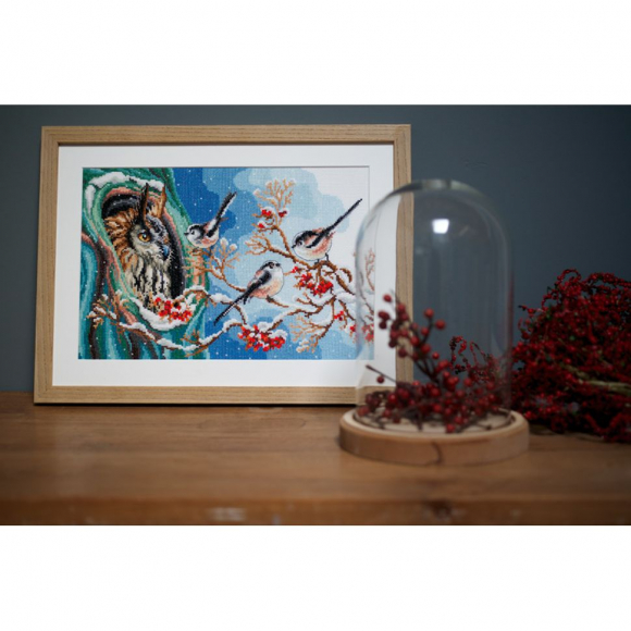 Набор для вышивания VERVACO арт.PN-0157405 Сова и синицы 33х22 см