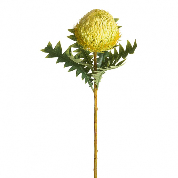 Цветок декоративный "Банксия"