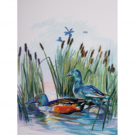 Набор для вышивания PANNA Живая картина арт. JK-2094 Уточки 24х18 см