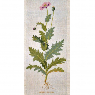 186768_Набор для вышивания панно:"Мак"