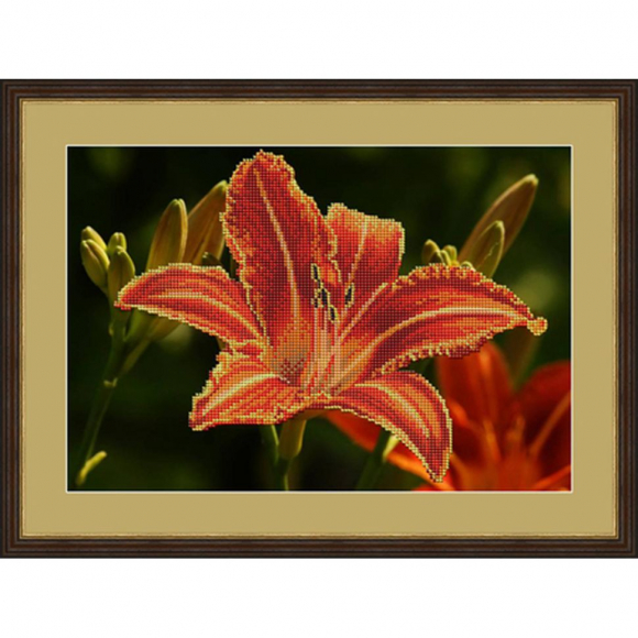 Набор для вышивания бисером GALLA COLLECTION арт.Л 322 Лилия 32х22 см Набор для вышивания бисером GALLA COLLECTION арт.Л 322 Лилия 32х22 см