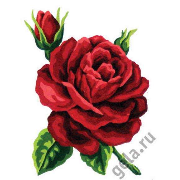 Канва жесткая с рисунком "Красная роза" Канва жесткая с рисунком "Красная роза"