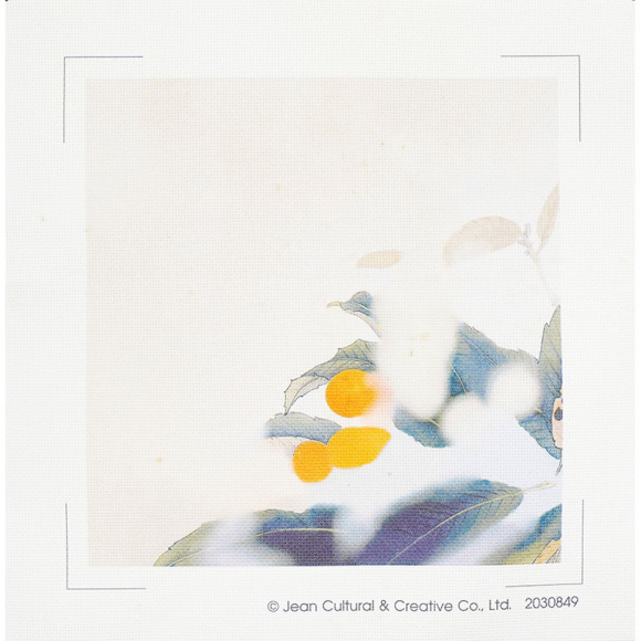 171675_Набор для вышивания "Сидя на золотой мушмуле"