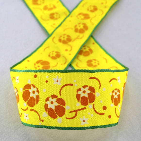 Лента с рисунком SAFISA, 40 мм, 15 м, цвет 01 Лента с рисунком SAFISA, 40 мм, 15 м, цвет 01