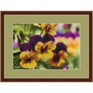 Набор для вышивания бисером "Анютины глазки"