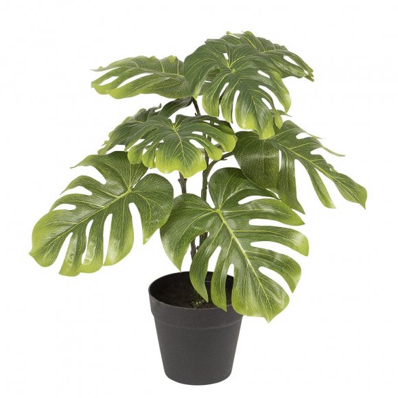Цветок декоративный в кашпо "Филодендрон"